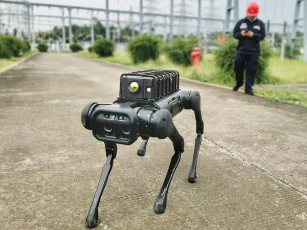 四足機(jī)器人 四足機(jī)器人